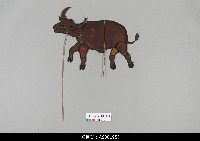 藏品(柬埔寨小皮影-水牛)的圖片
